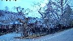 area4-20250406051040.jpg