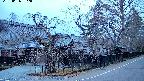 area4-20250406052041.jpg