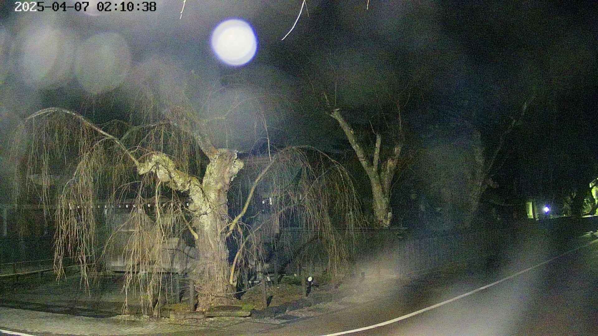 area4-20250407021041.jpg