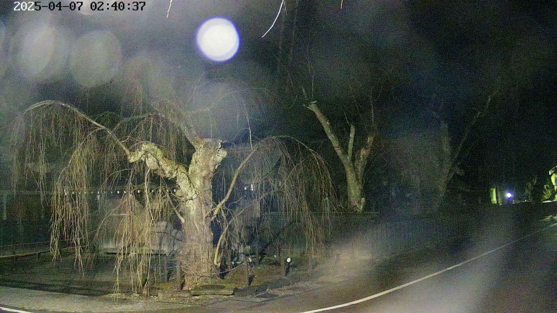 area4-20250407024040.jpg