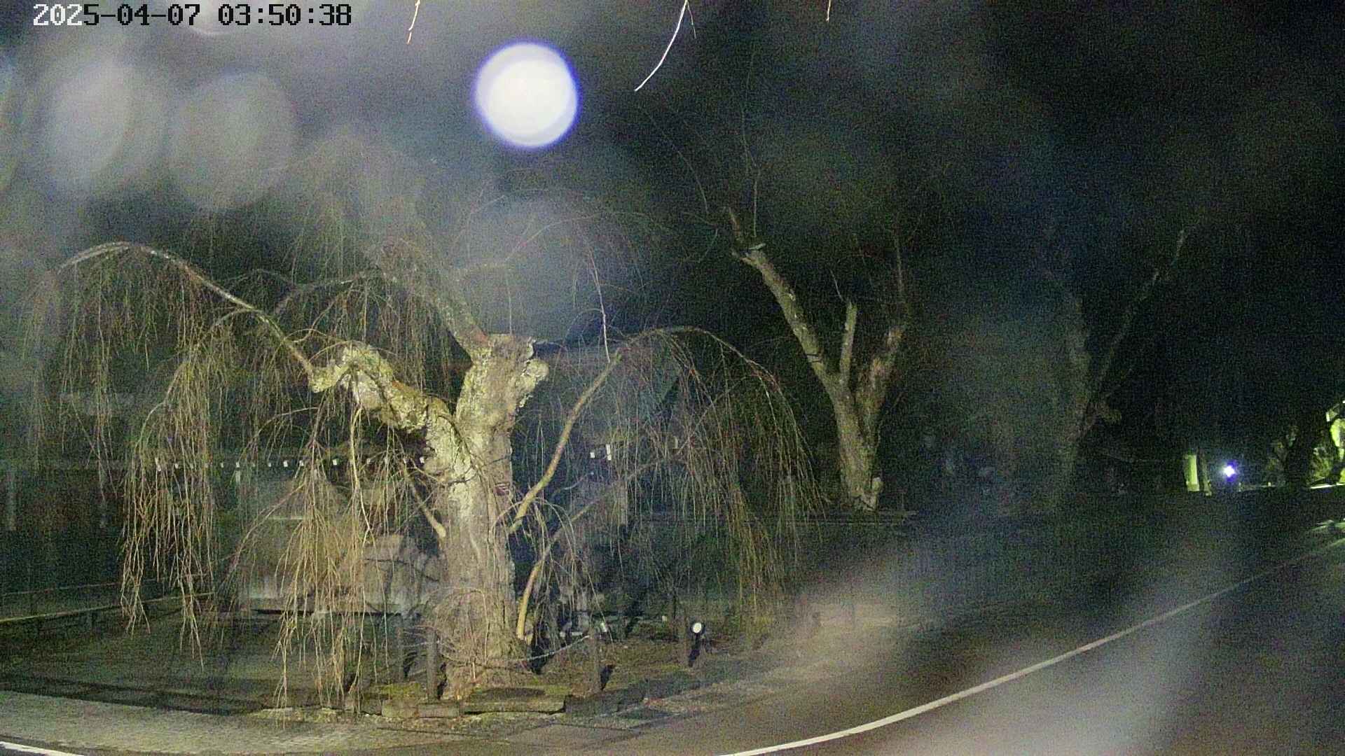 area4-20250407035041.jpg