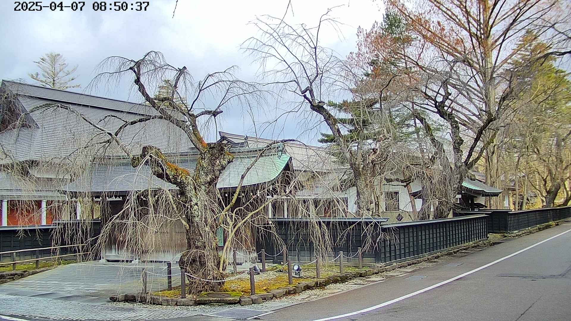 area4-20250407085041.jpg