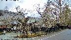 area4-20250407105041.jpg