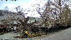 area4-20250407111041.jpg