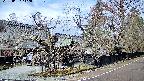 area4-20250407112039.jpg