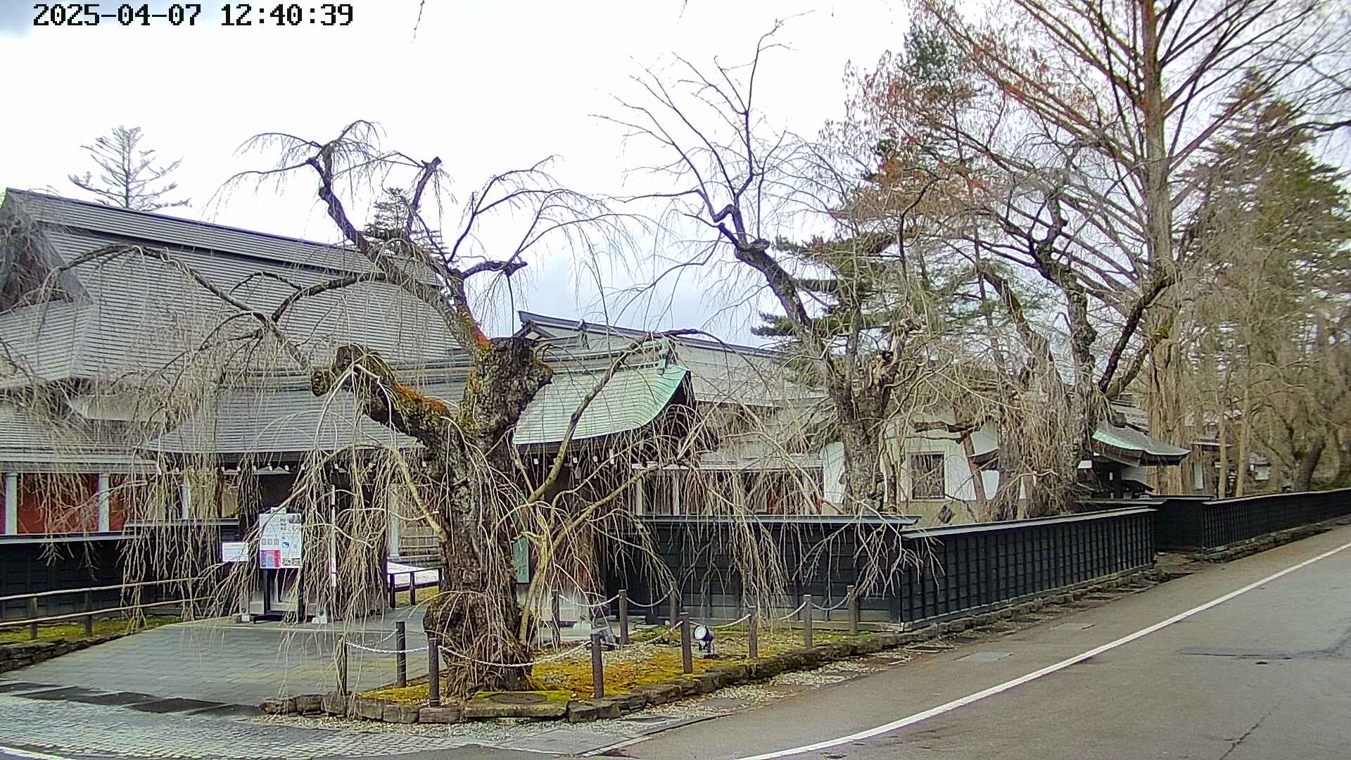 area4-20250407124040.jpg