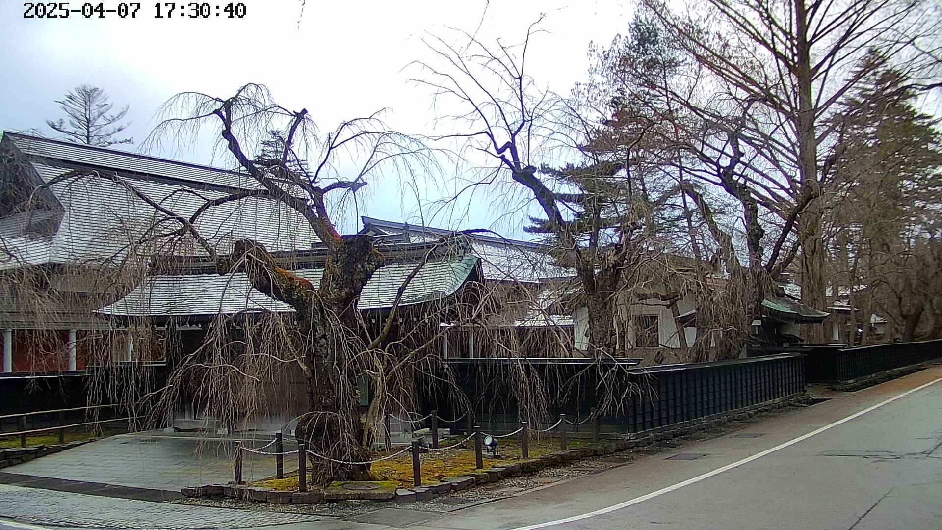 area4-20250407173042.jpg