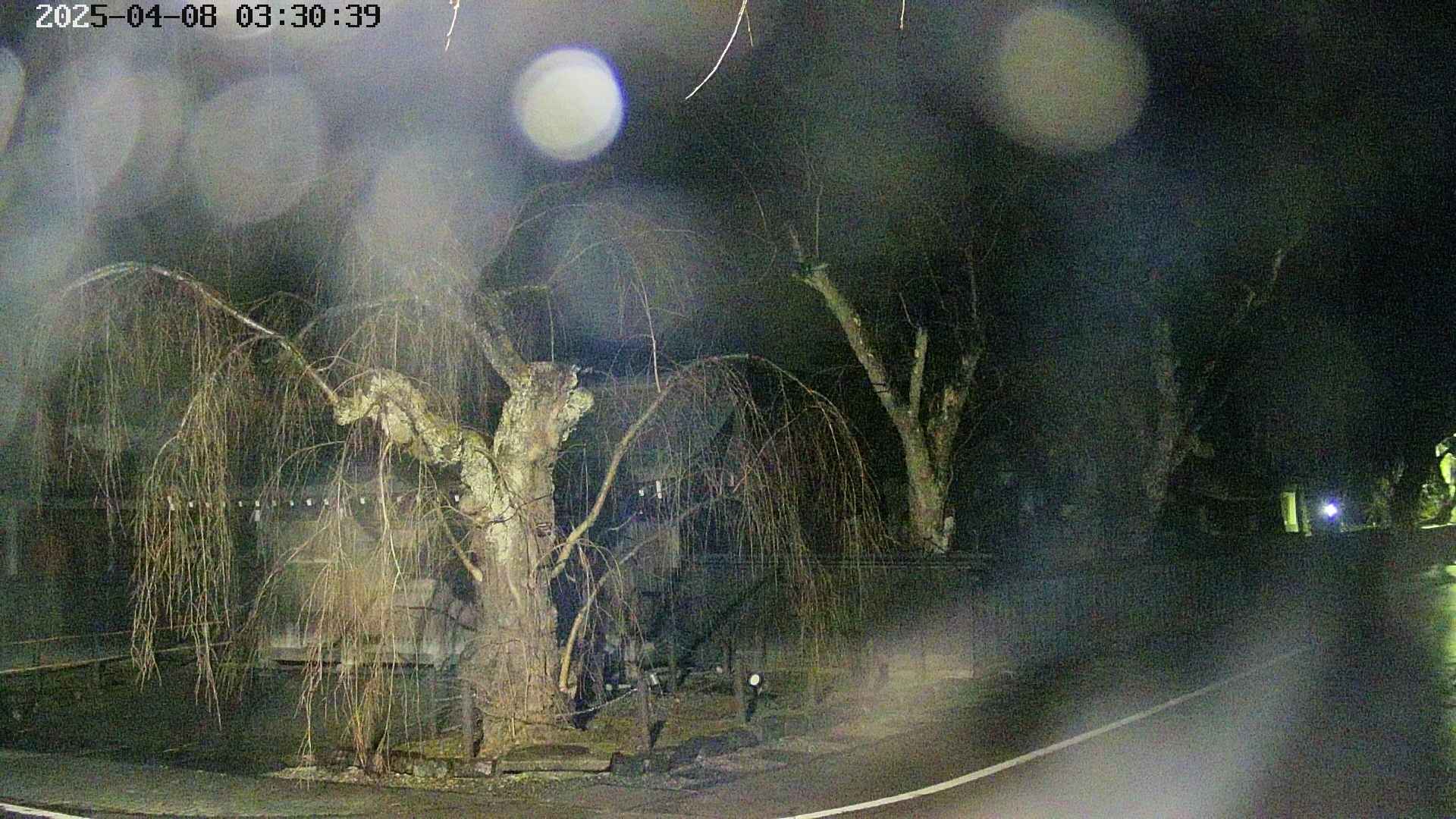 area4-20250408033042.jpg