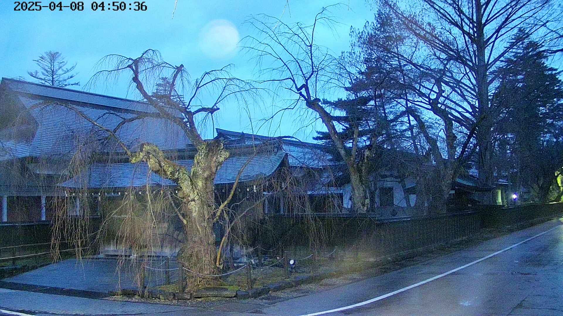area4-20250408045040.jpg