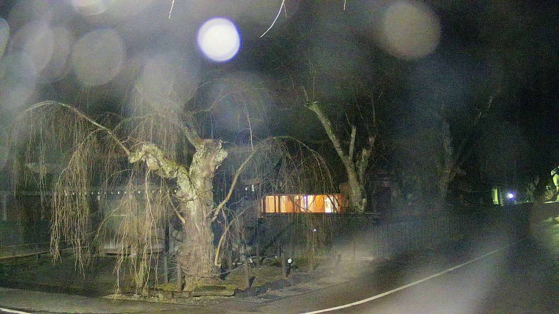 area4-20250408194040.jpg