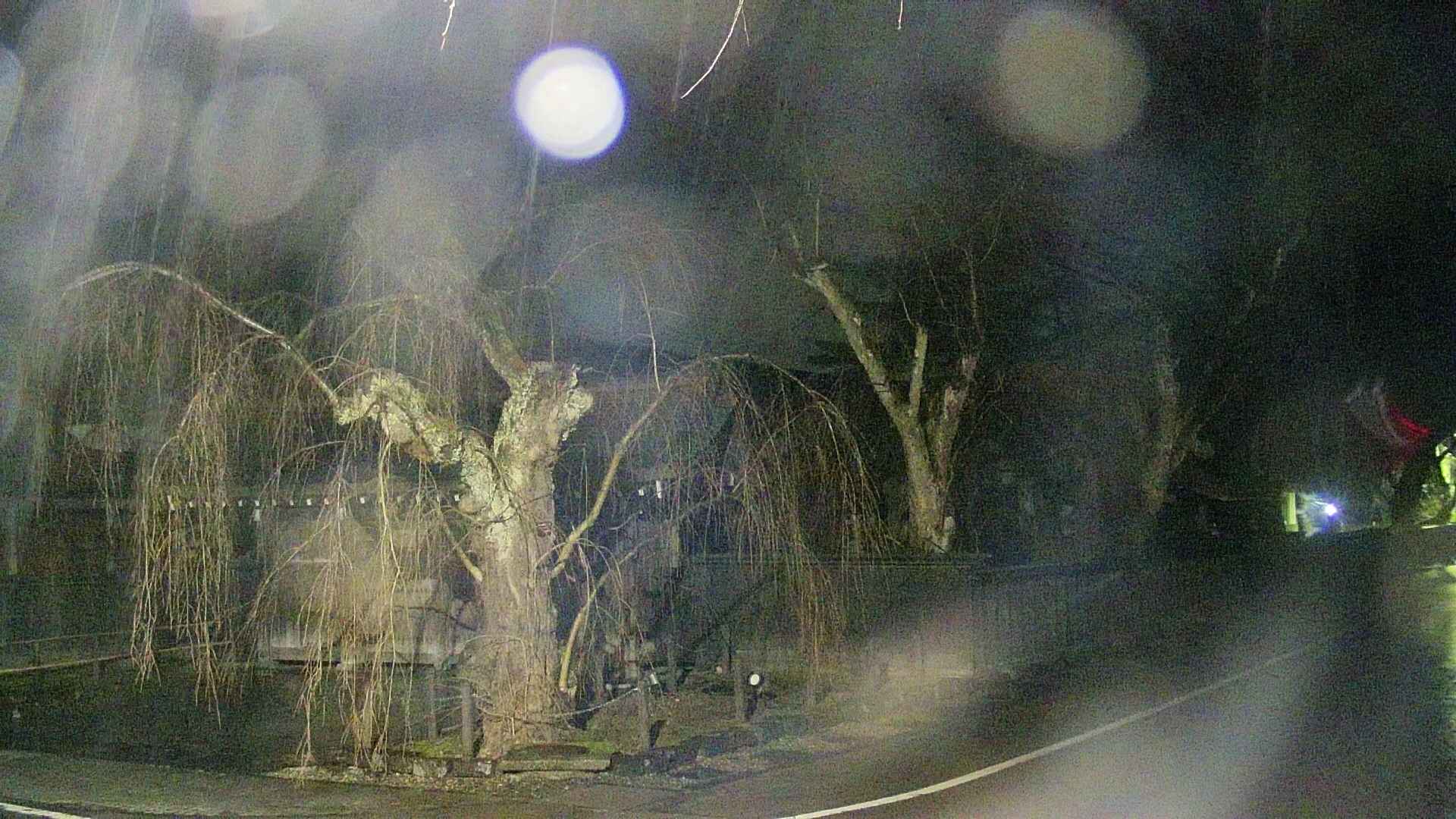 area4-20250408211041.jpg