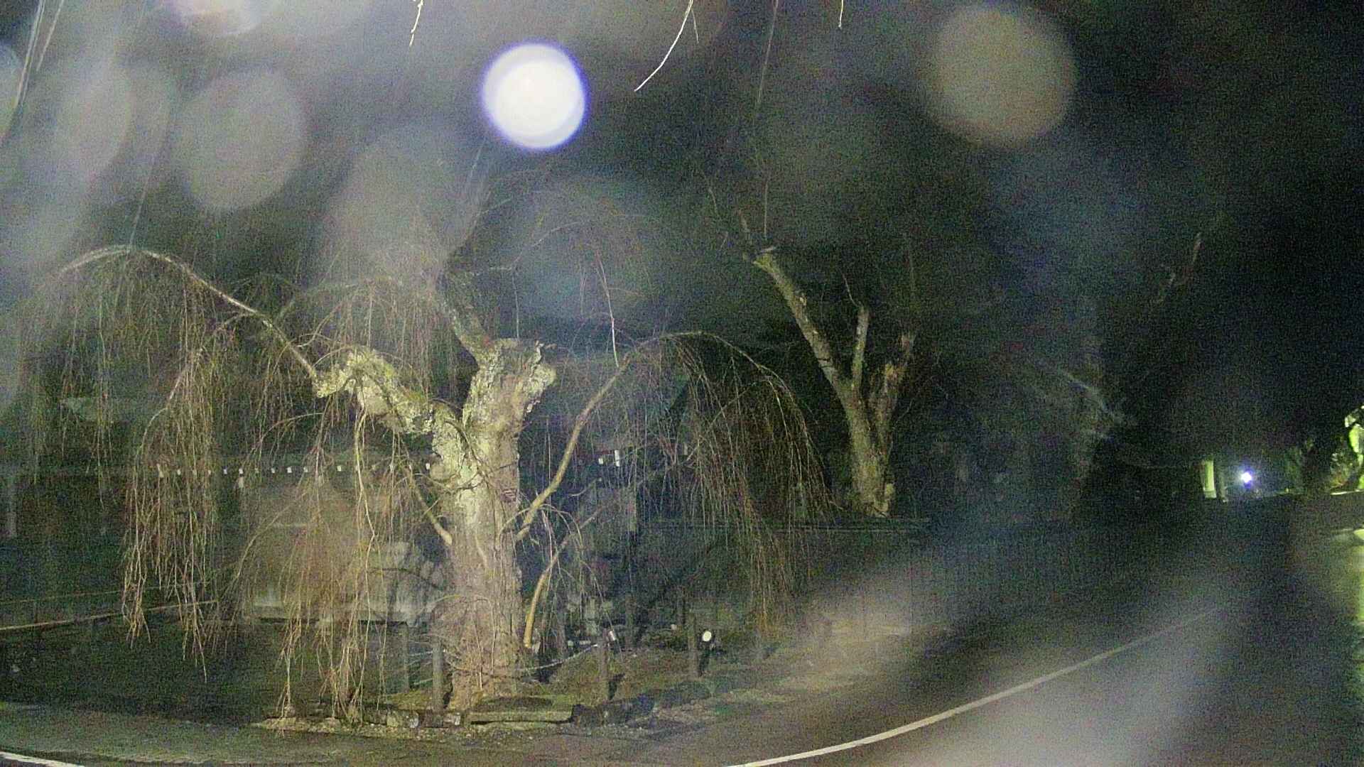 area4-20250408212042.jpg