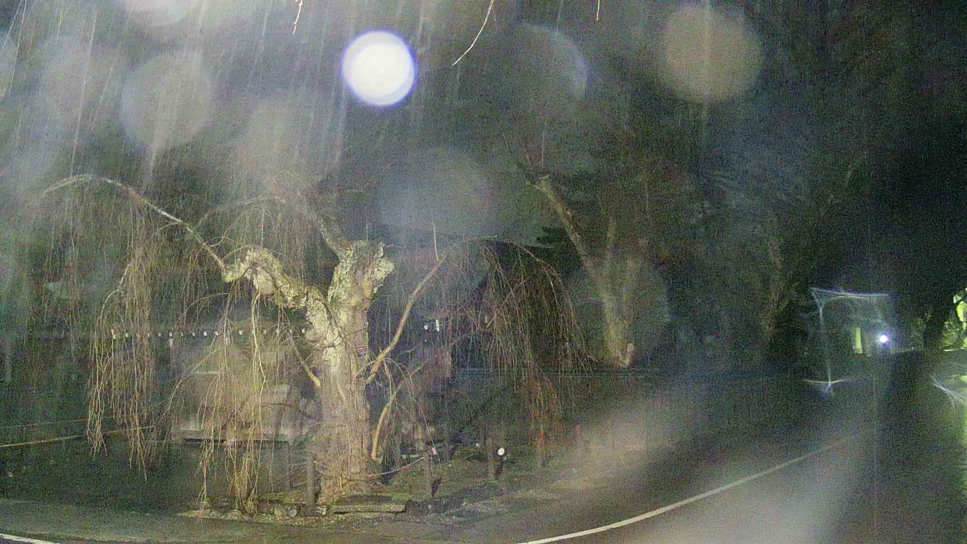 area4-20250408215039.jpg