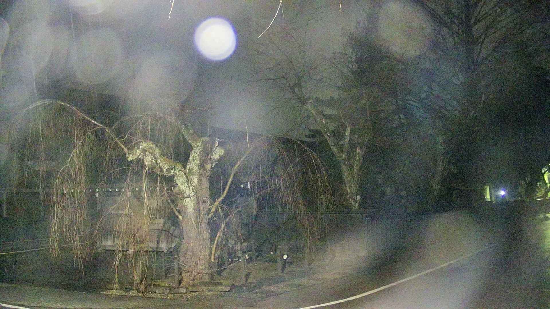 area4-20250409032042.jpg