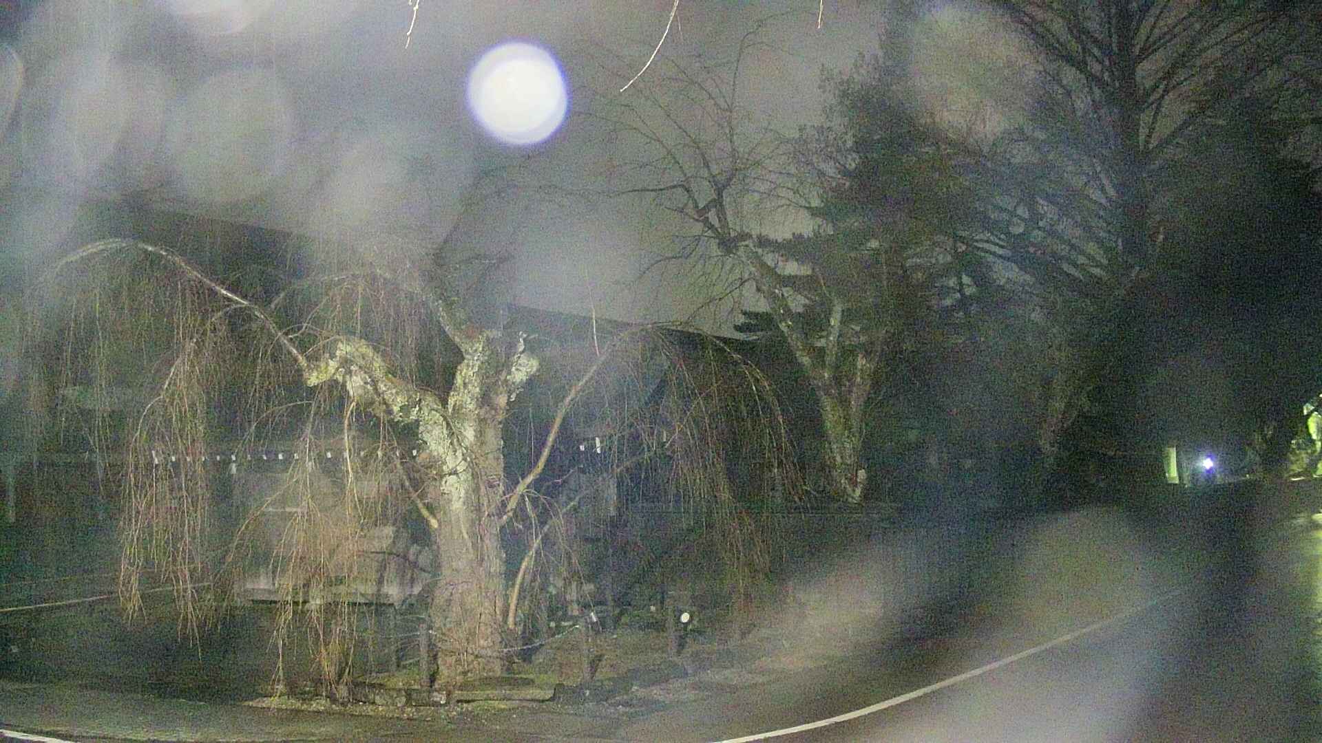 area4-20250409033041.jpg