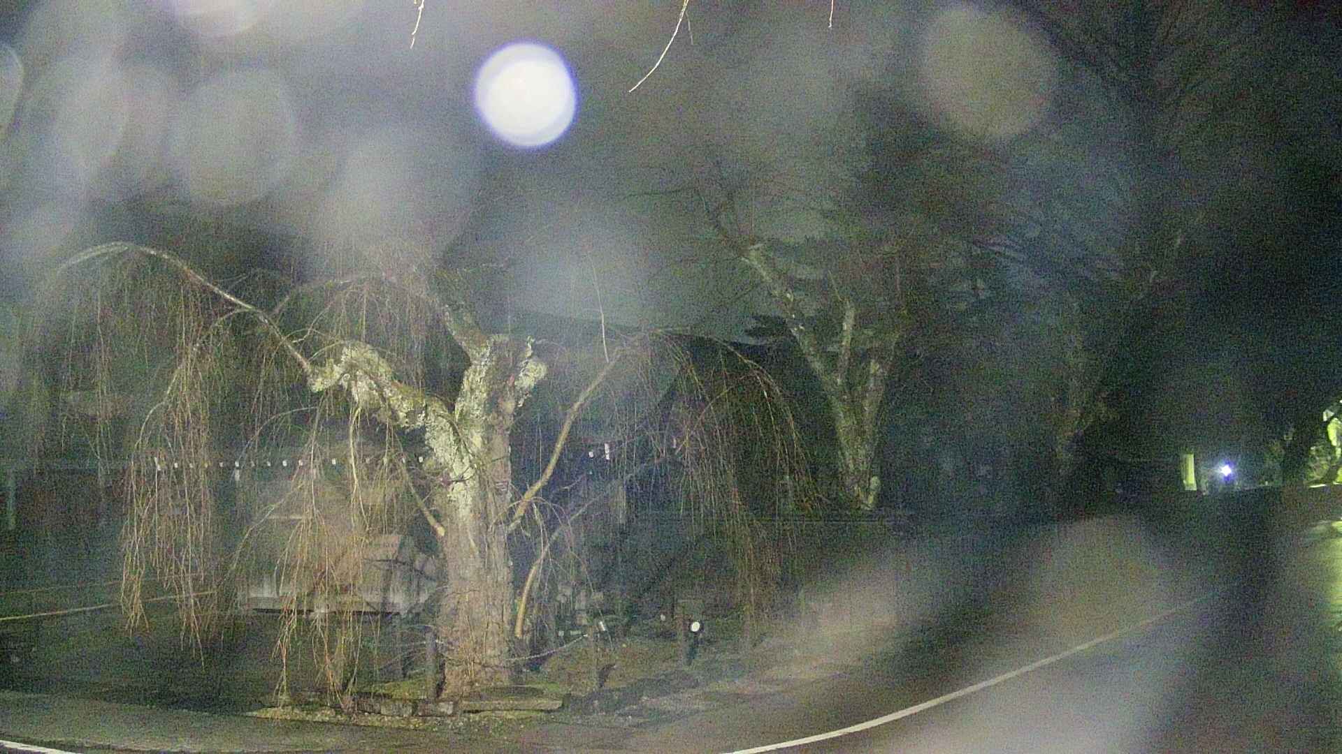 area4-20250409035041.jpg