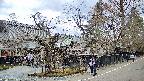 area4-20250409122042.jpg