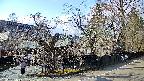 area4-20250409153041.jpg