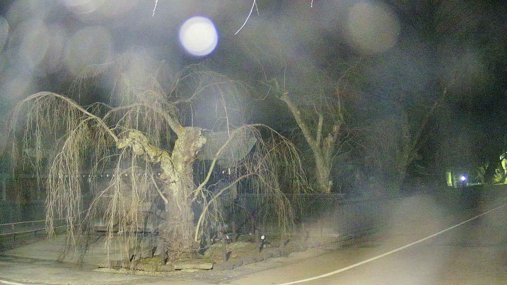 area4-20250409211041.jpg