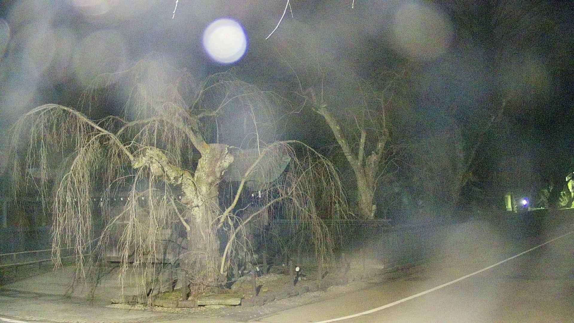area4-20250409215040.jpg