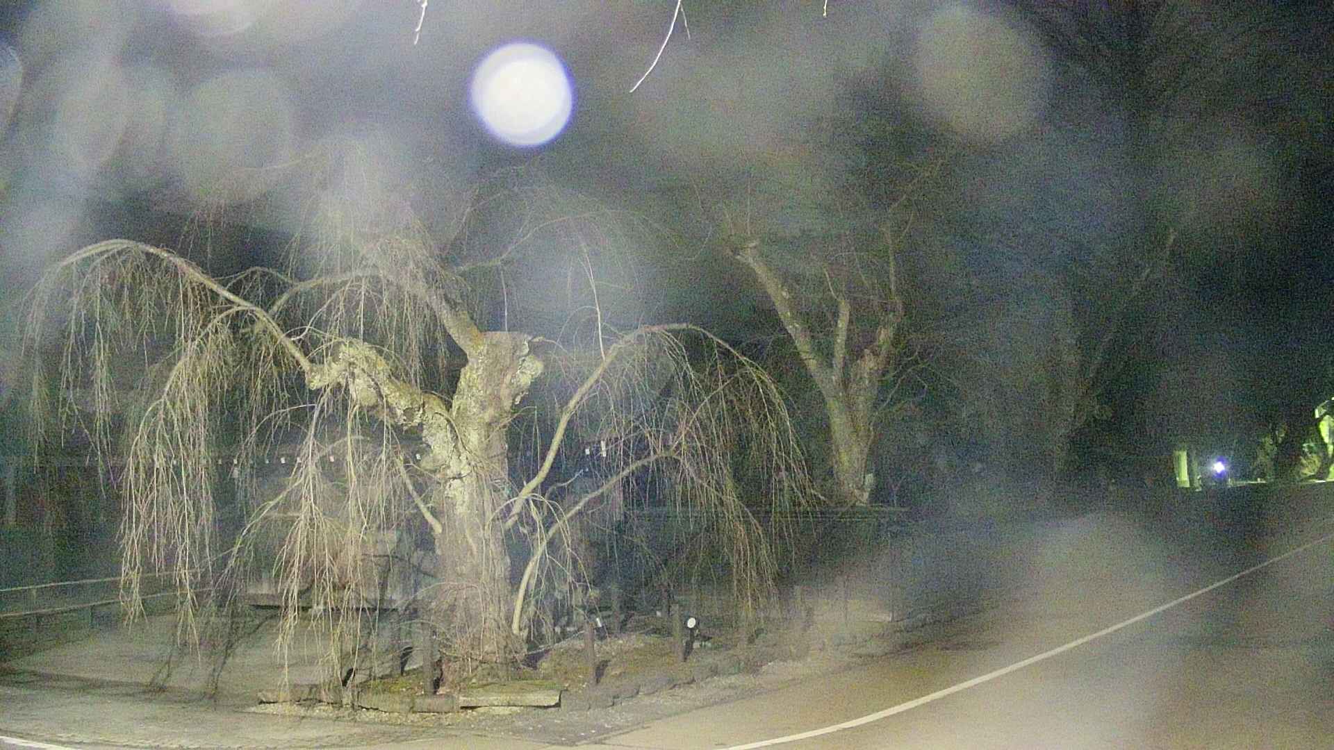 area4-20250410021041.jpg