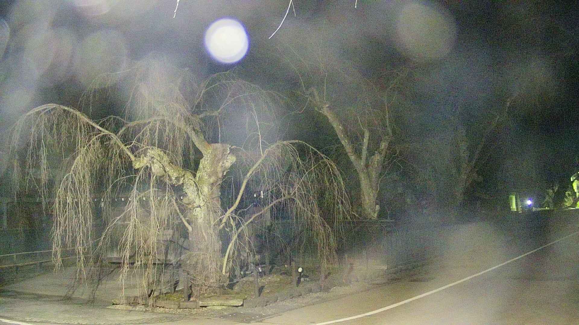 area4-20250410033042.jpg