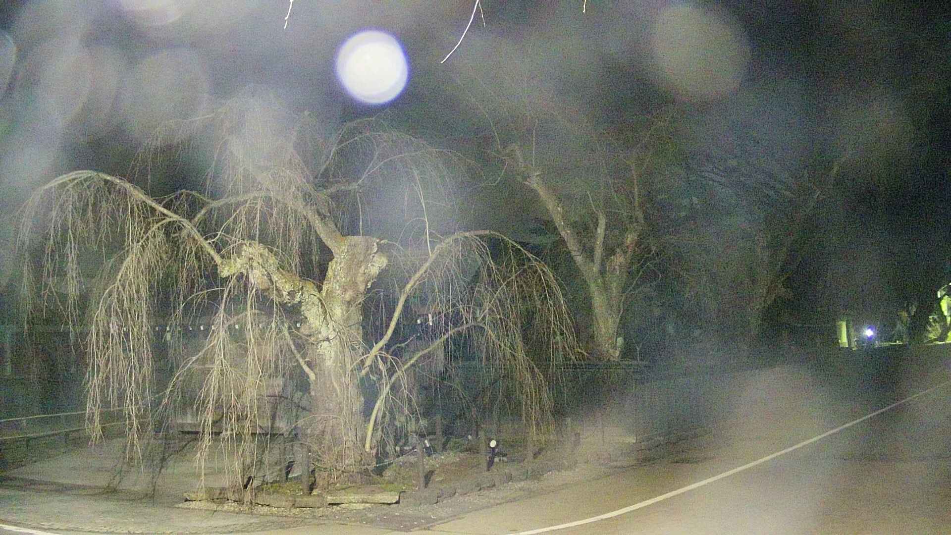 area4-20250410034039.jpg