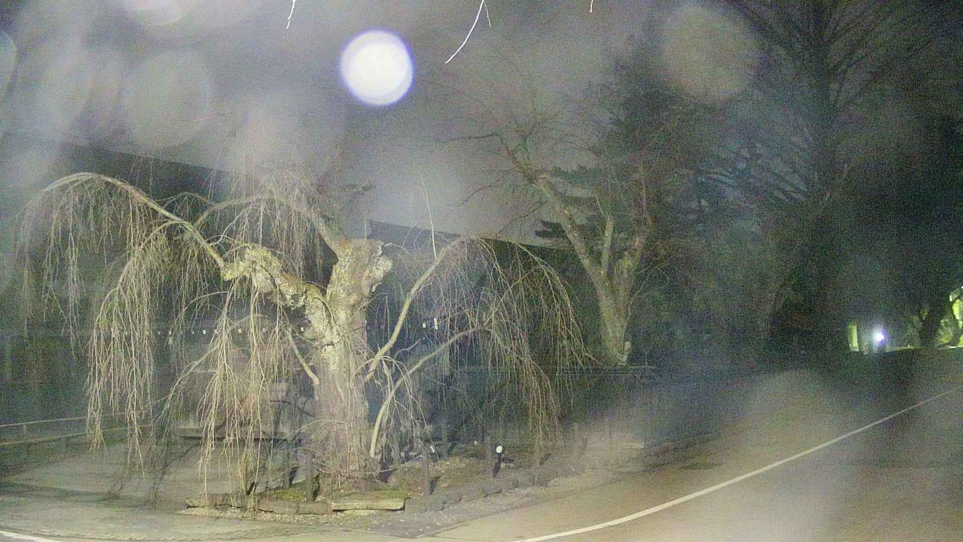 area4-20250410041041.jpg