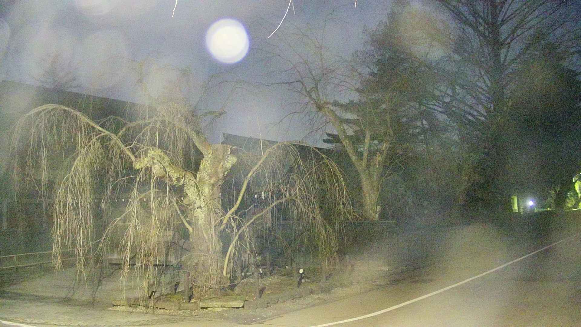 area4-20250410043041.jpg