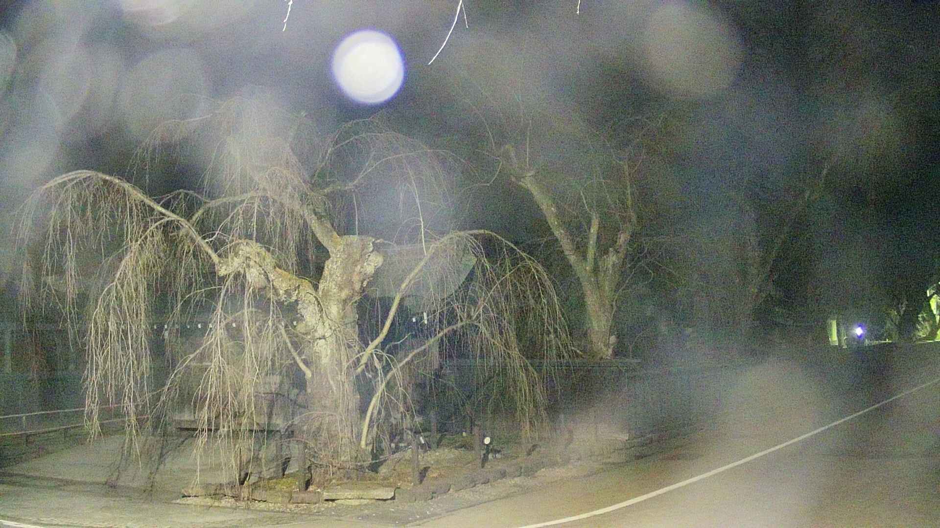 area4-20250410194041.jpg