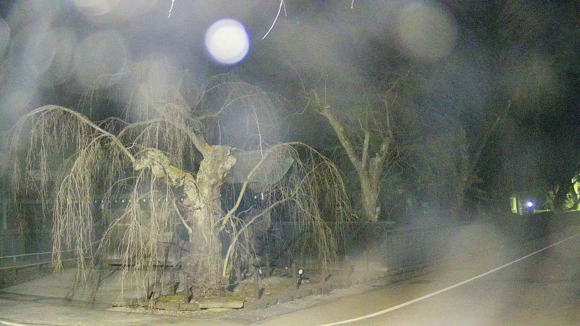 area4-20250410212041.jpg