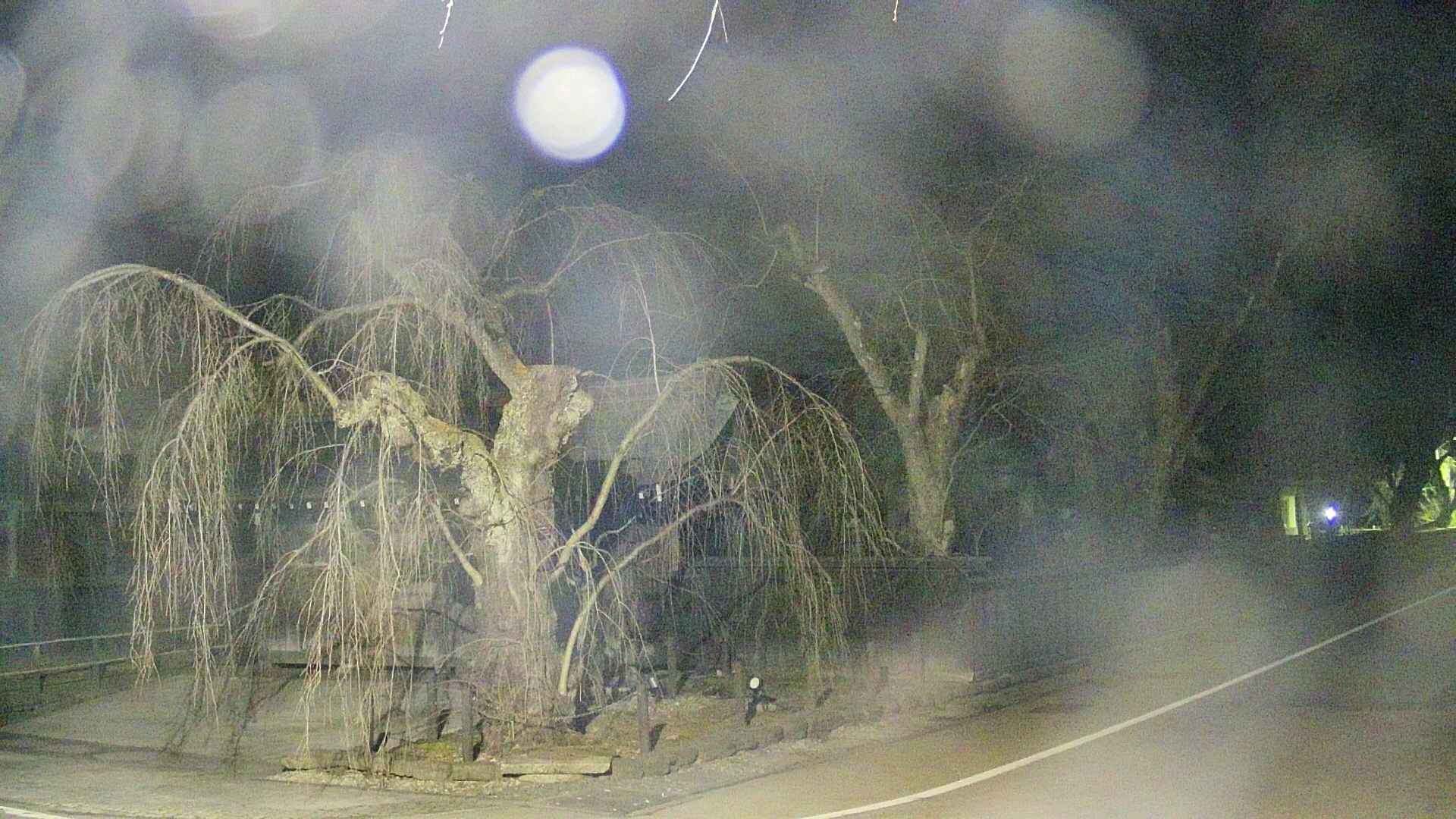 area4-20250410213041.jpg