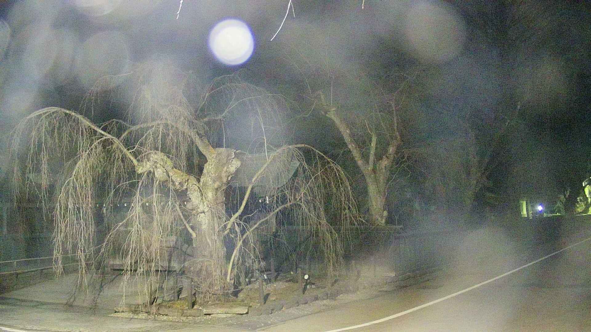 area4-20250410215040.jpg
