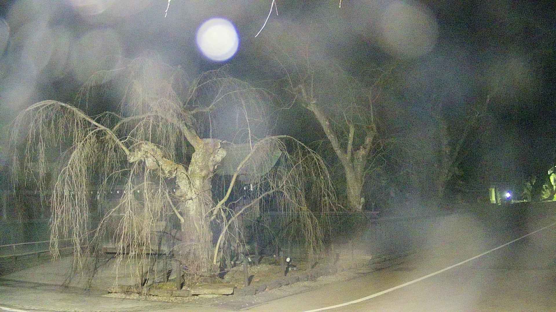 area4-20250411023041.jpg