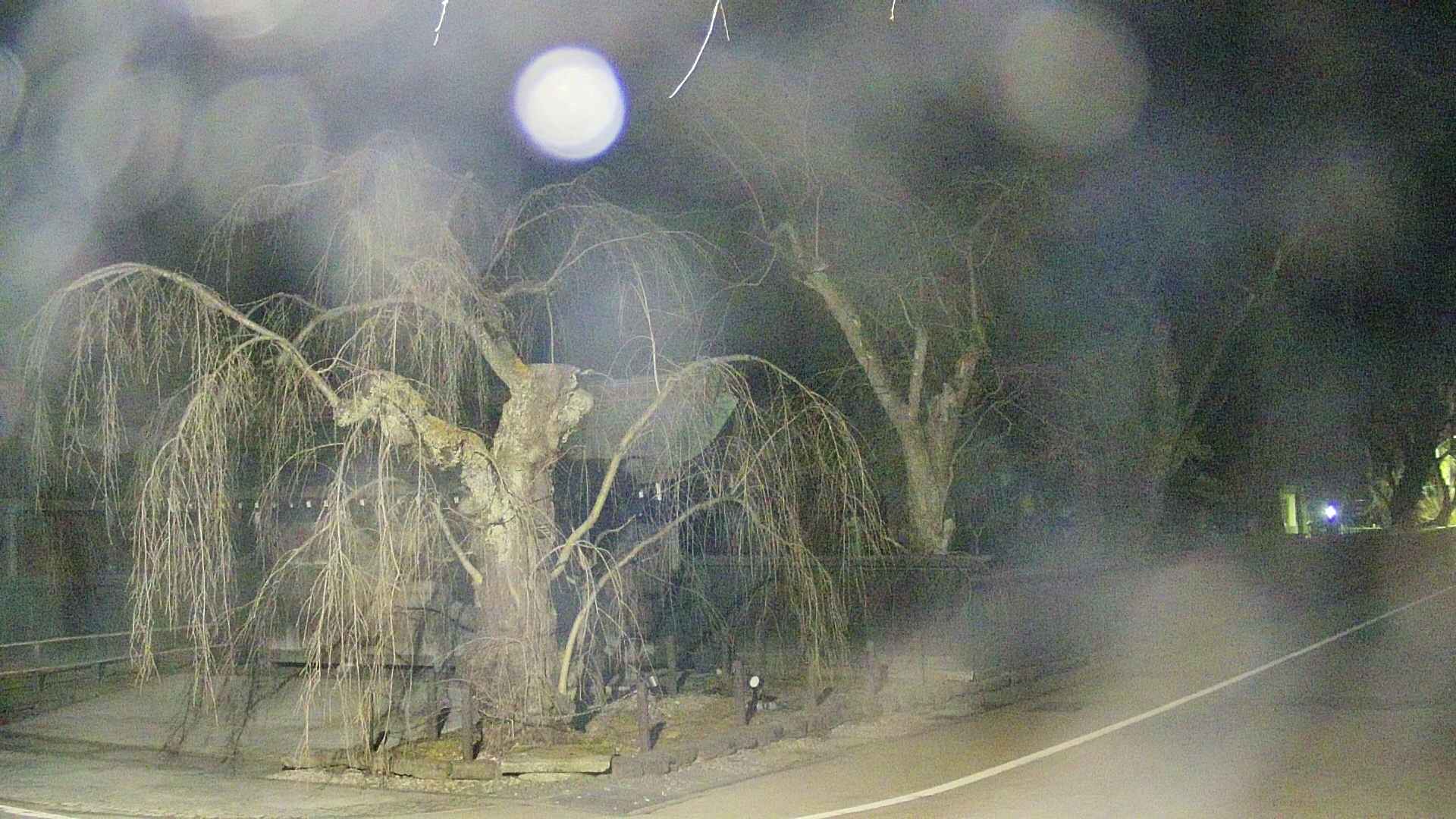 area4-20250411025039.jpg