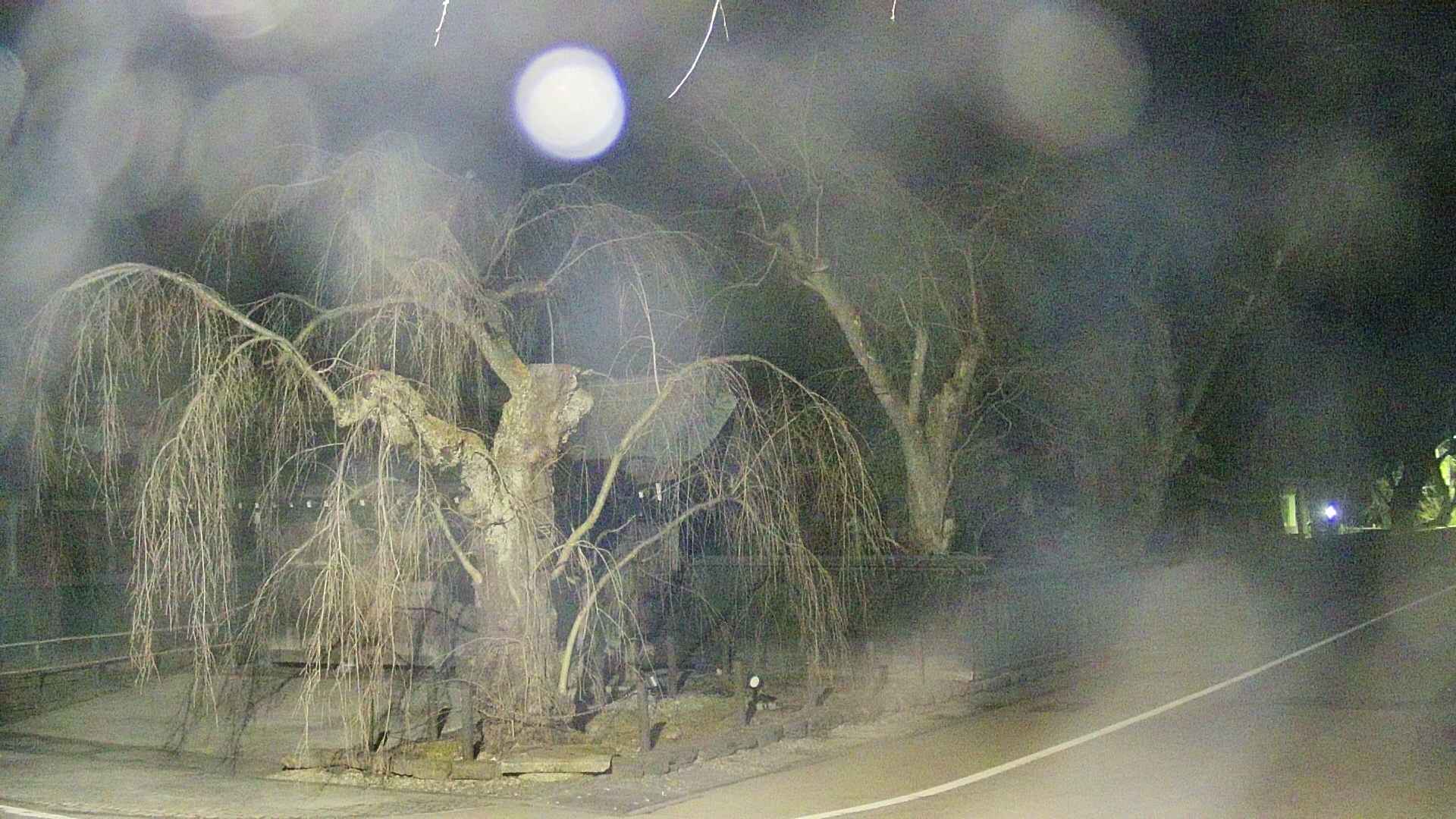 area4-20250411032042.jpg