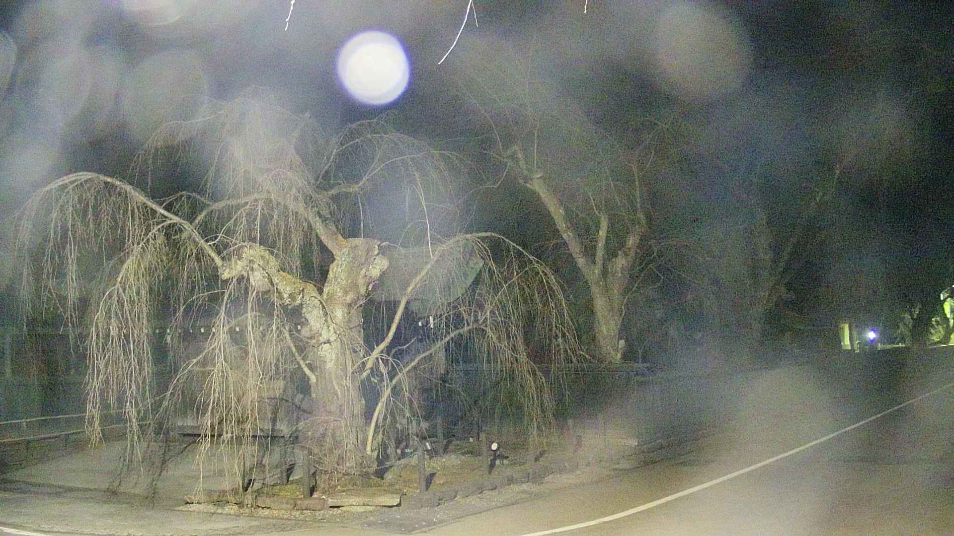 area4-20250411034041.jpg