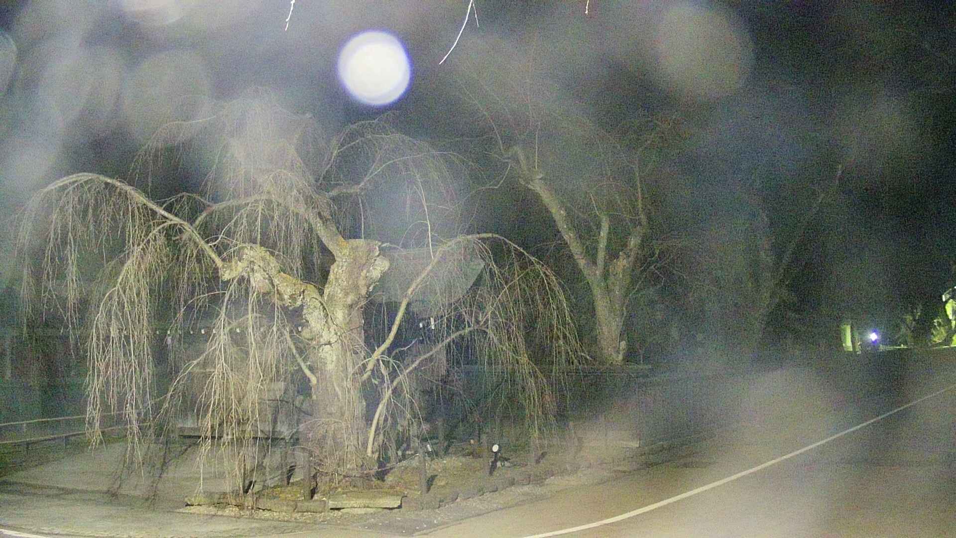 area4-20250411035040.jpg