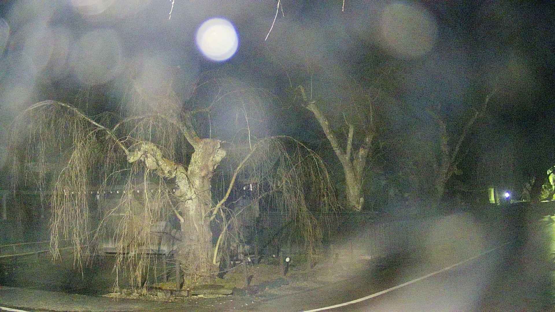 area4-20250411043042.jpg