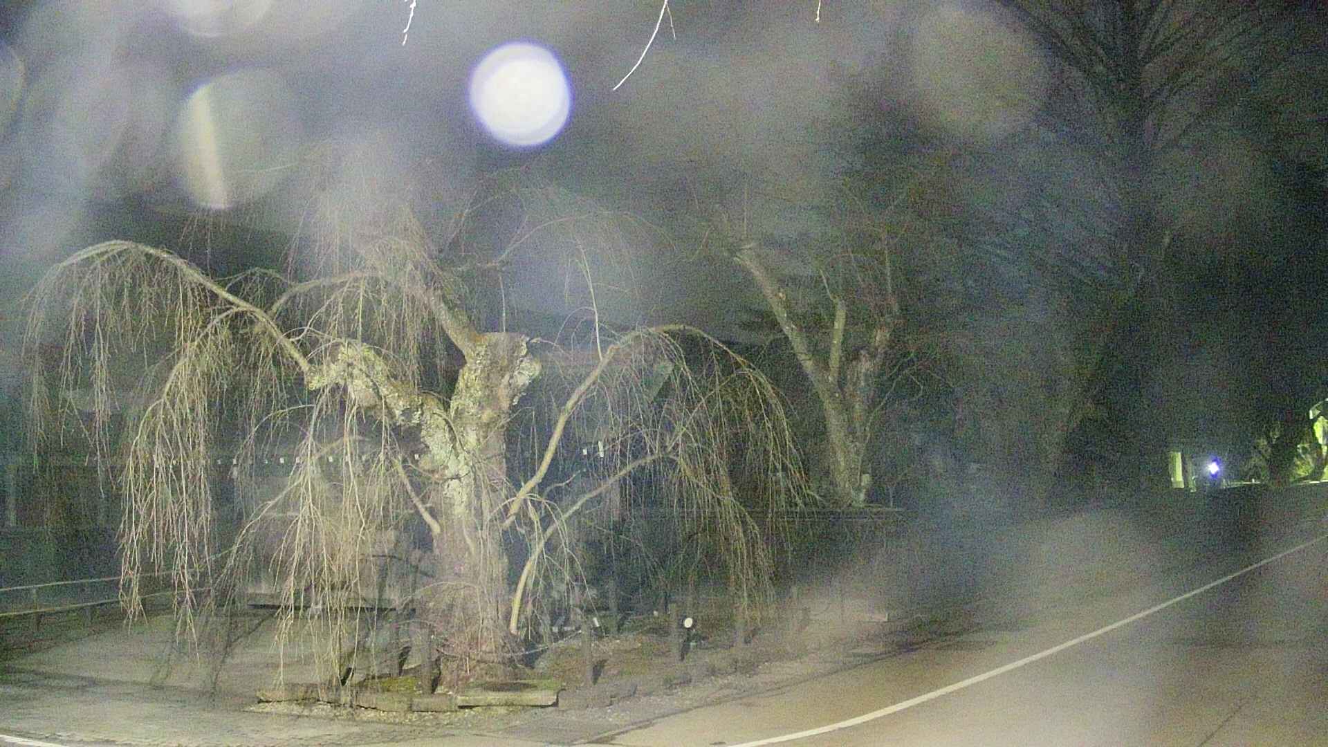 area4-20250411215041.jpg