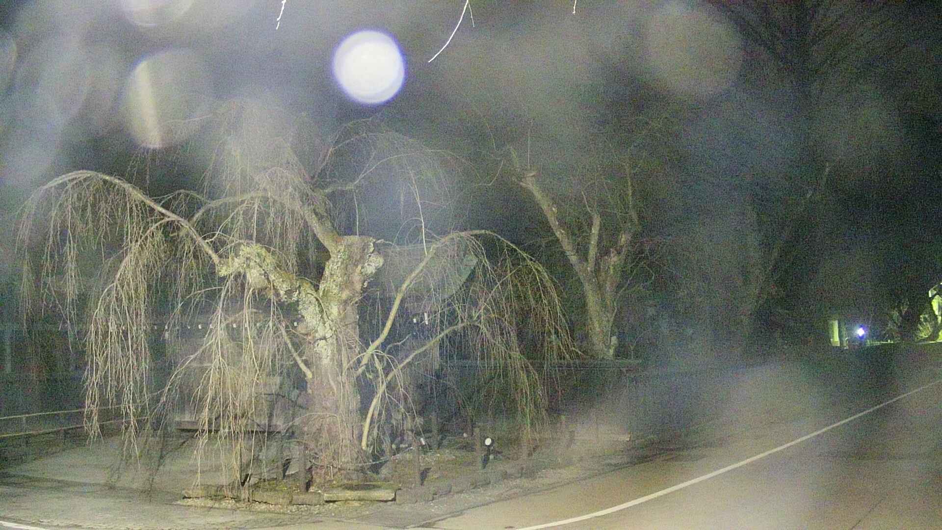 area4-20250412021039.jpg