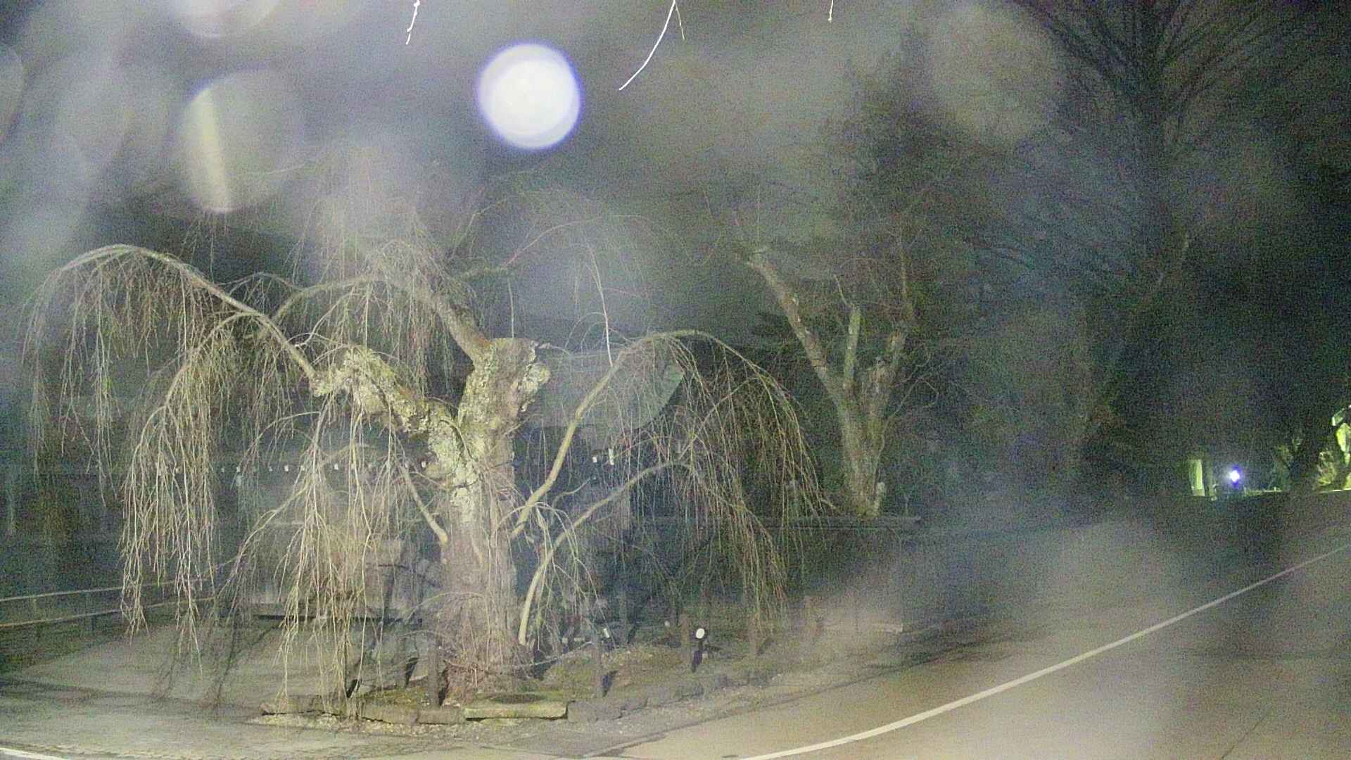 area4-20250412035041.jpg