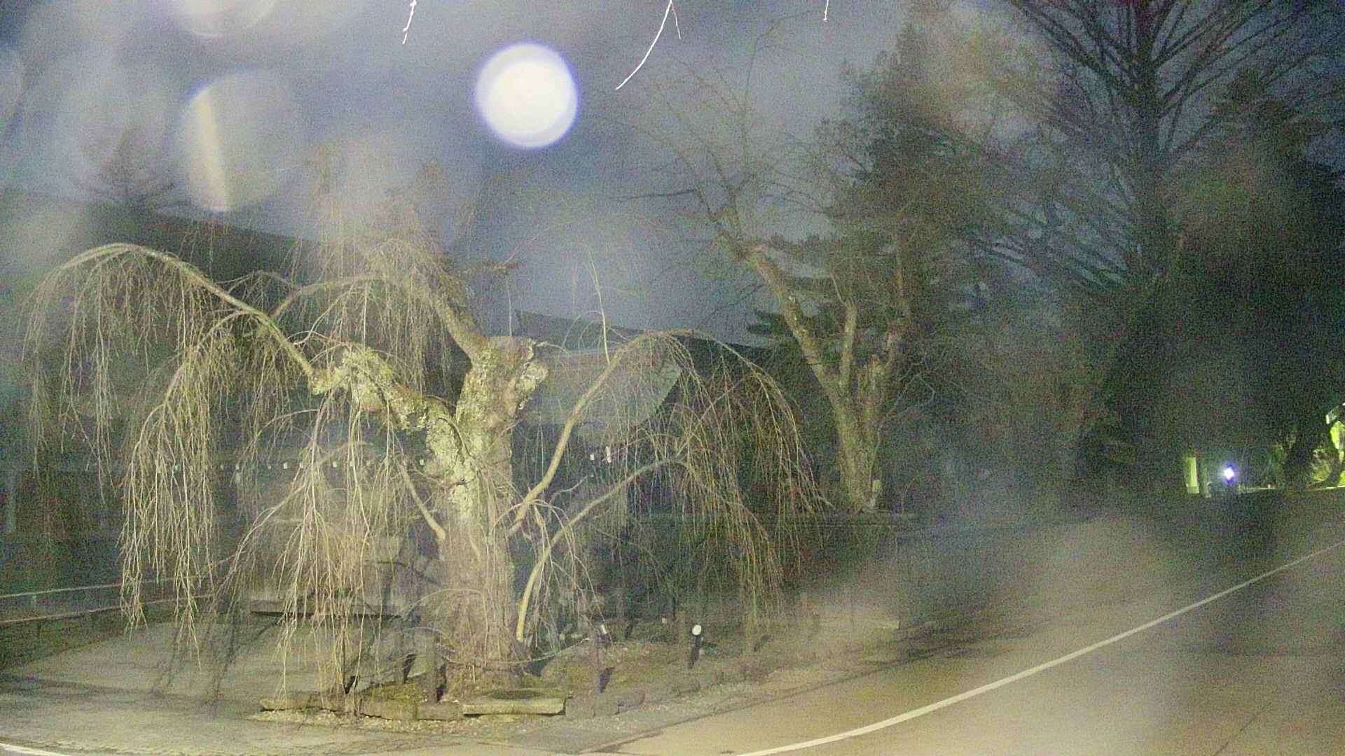 area4-20250412043041.jpg
