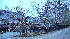 area4-20250412051041.jpg
