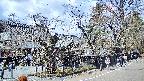 area4-20250412124041.jpg