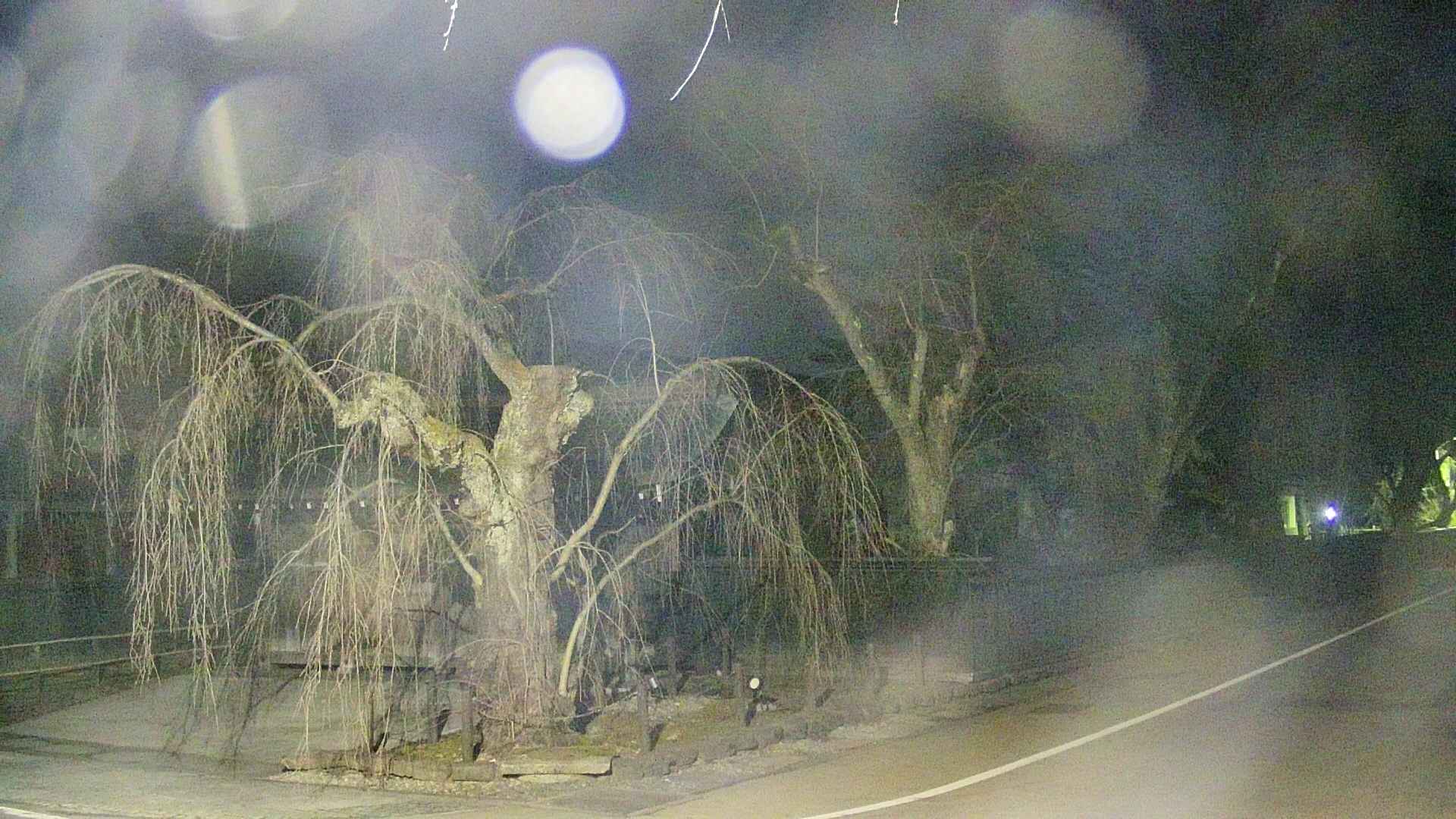 area4-20250412215041.jpg
