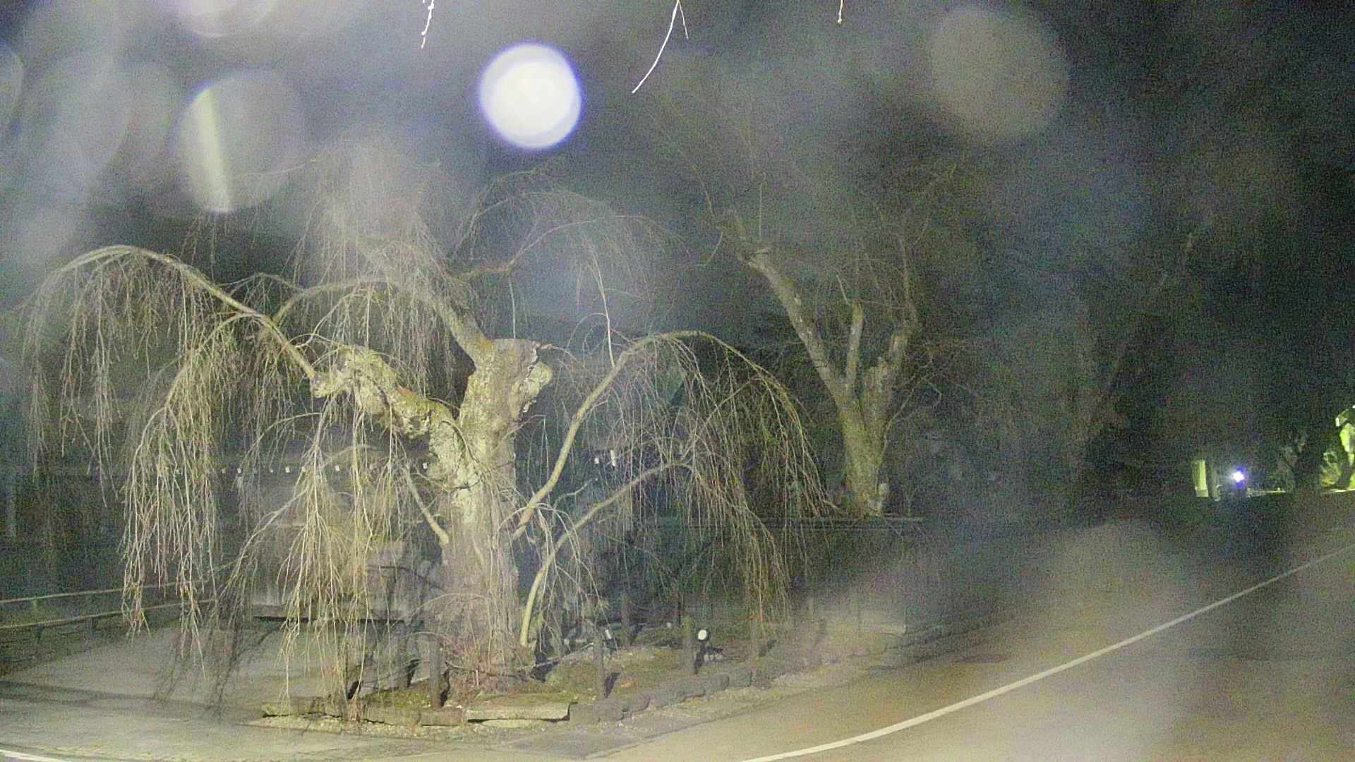 area4-20250413024040.jpg