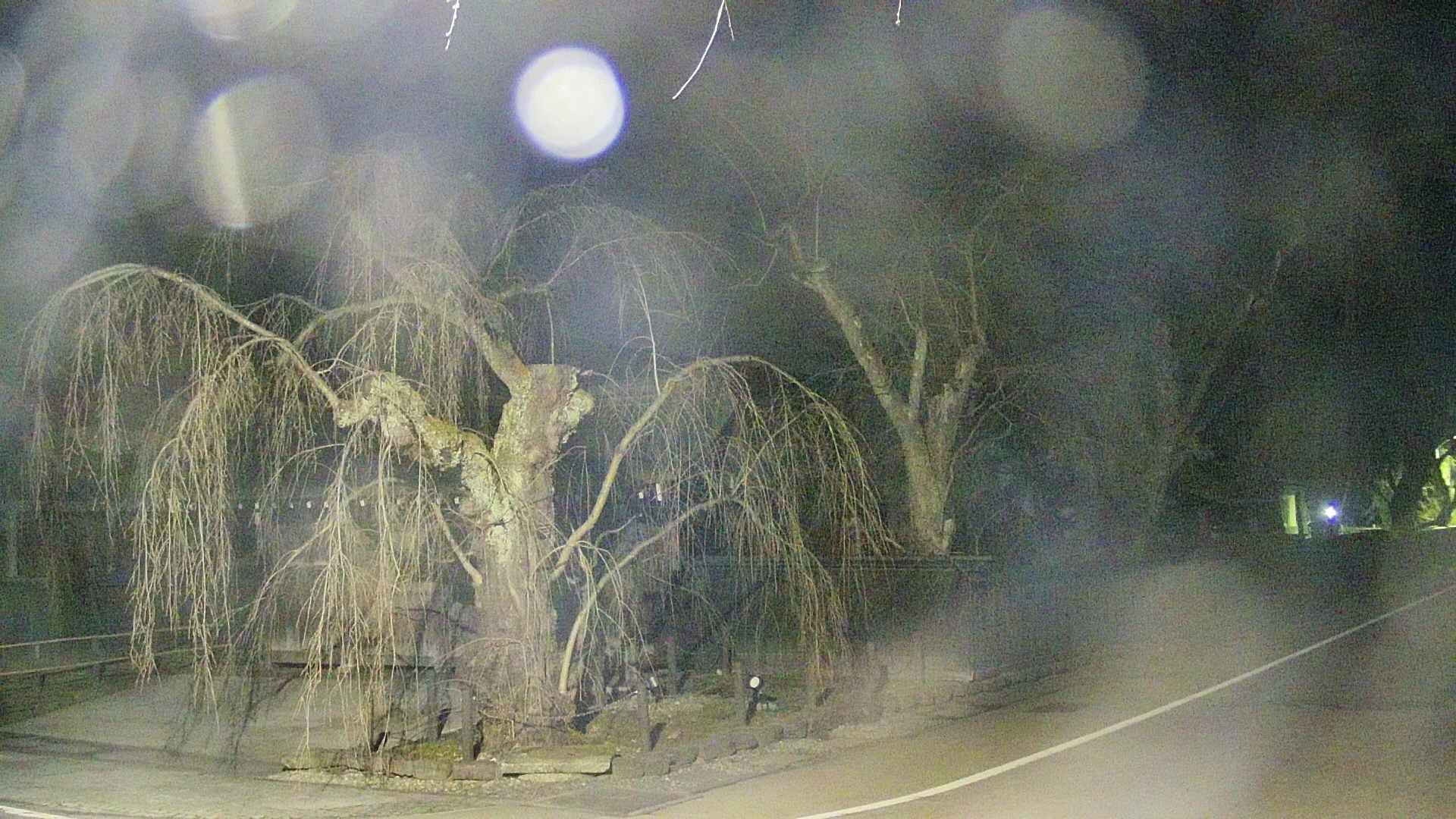 area4-20250413034041.jpg