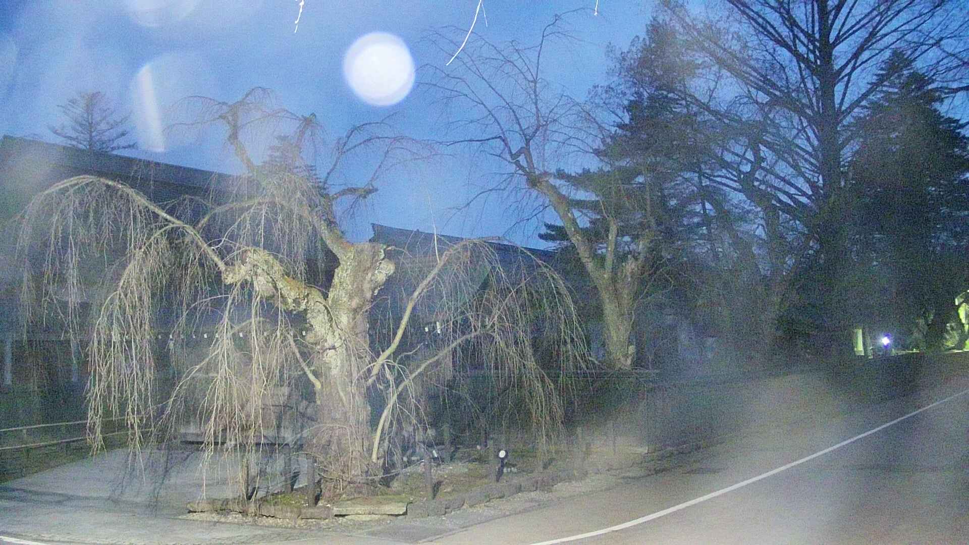 area4-20250413043041.jpg