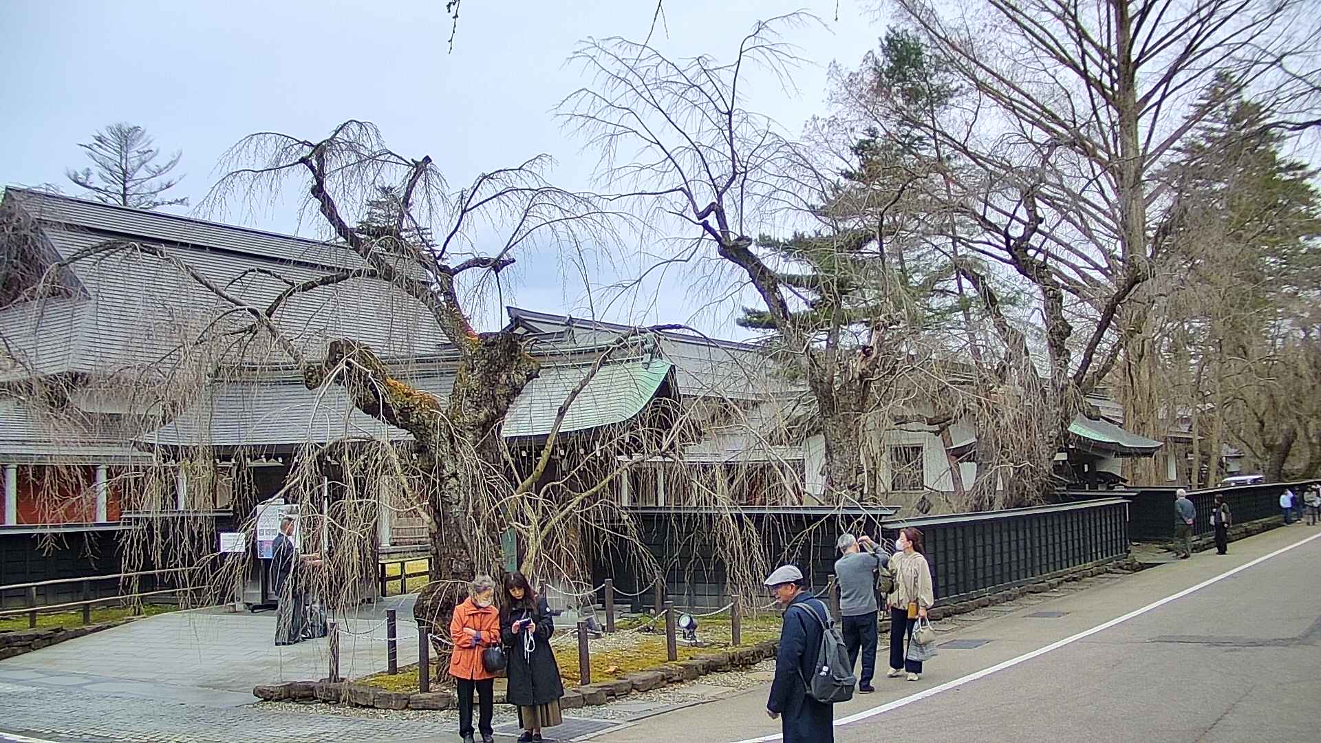 area4-20250413113041.jpg